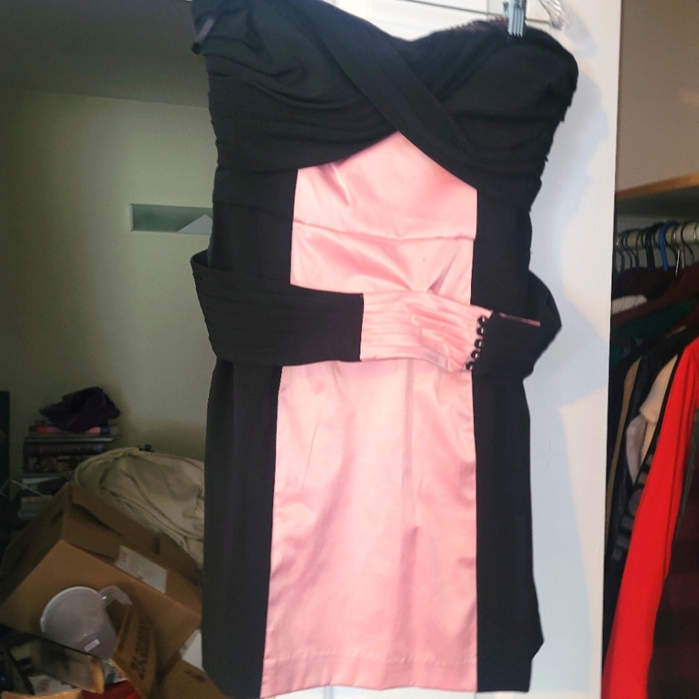 BCBG Birthday Dress